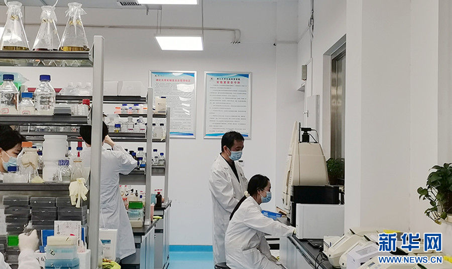 聚焦高質量發展 加速產學研用融合，湖北競逐合成生物產業新藍海